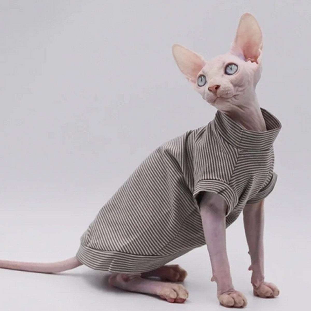 Cocoa Stripes Sphynx Cat T-shirt