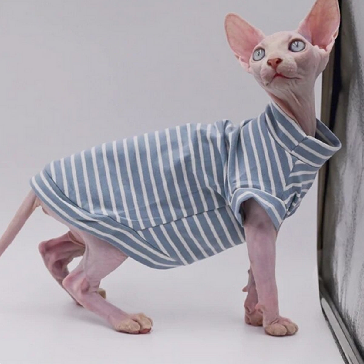 Sphynx Cat Striped T-shirt - Pale Blue