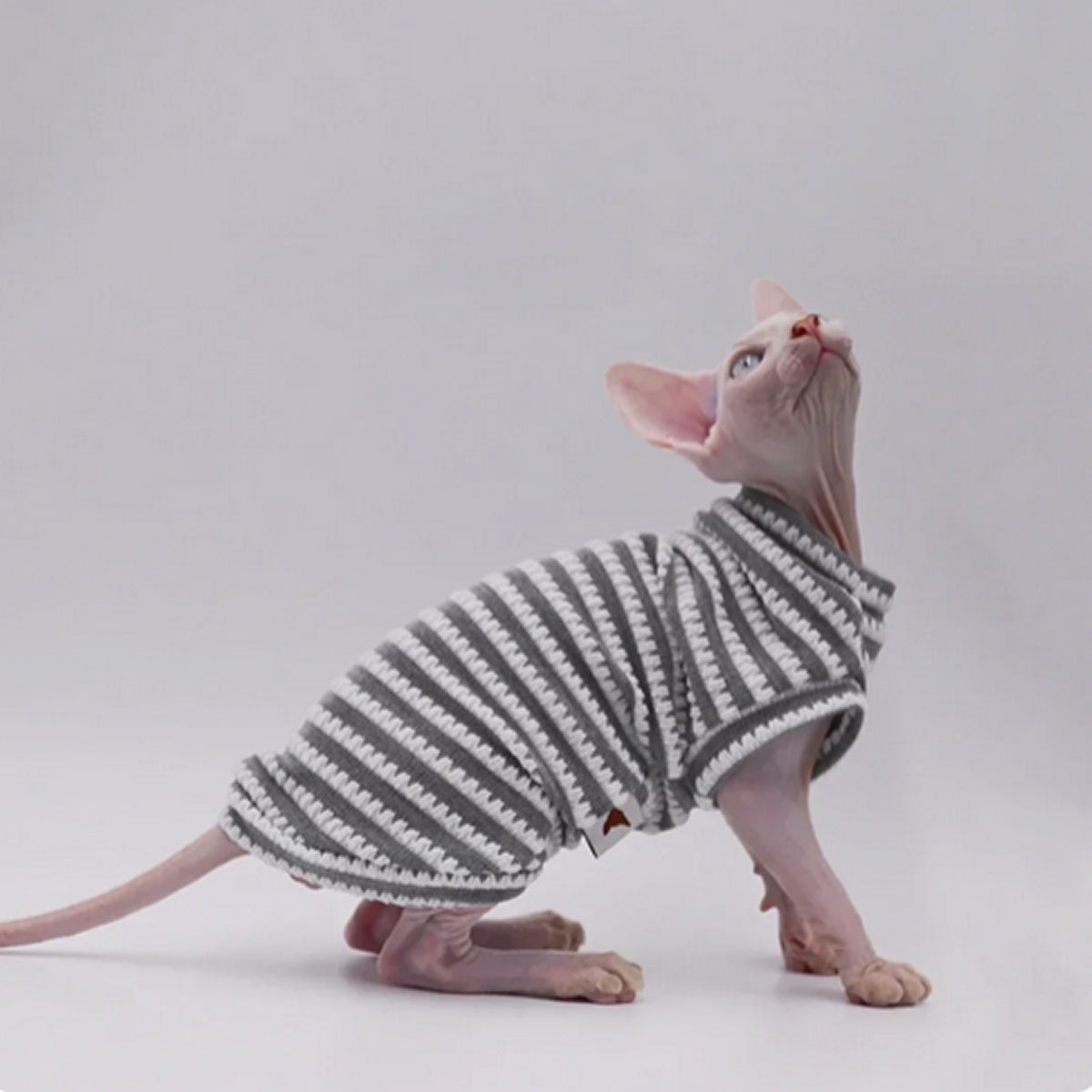 Sphynx Cat Striped T-shirt Grey/White