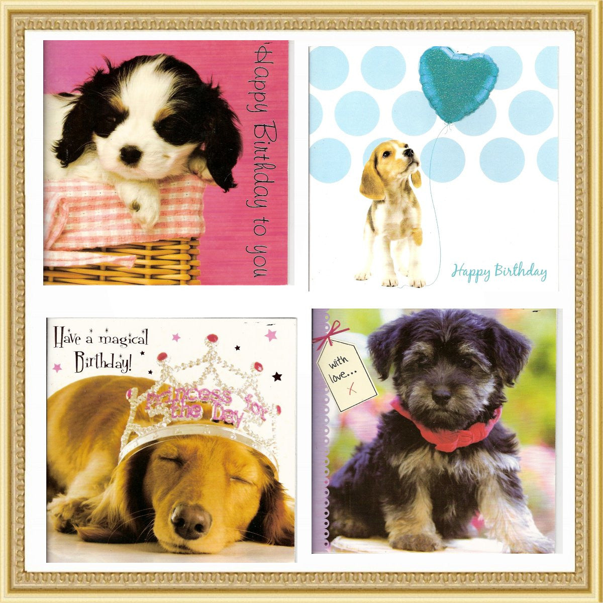 Stationery Dog Birthday Cards - Prince & Princess Designer Petwear