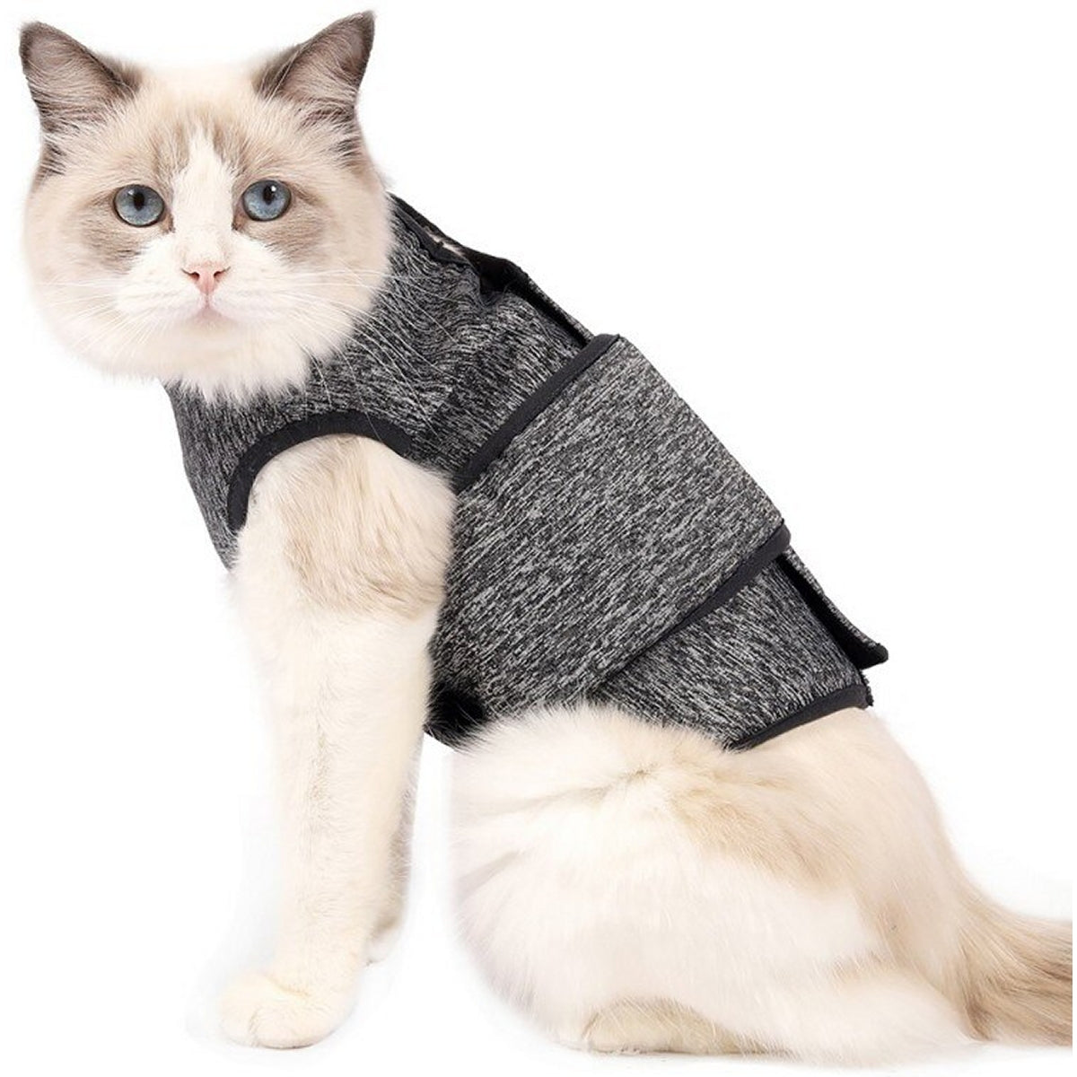 Cat Post-Surgery Recovery / Anxiety Suit