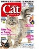 Your Cat Magazine’s Feline Fashion – April 2008