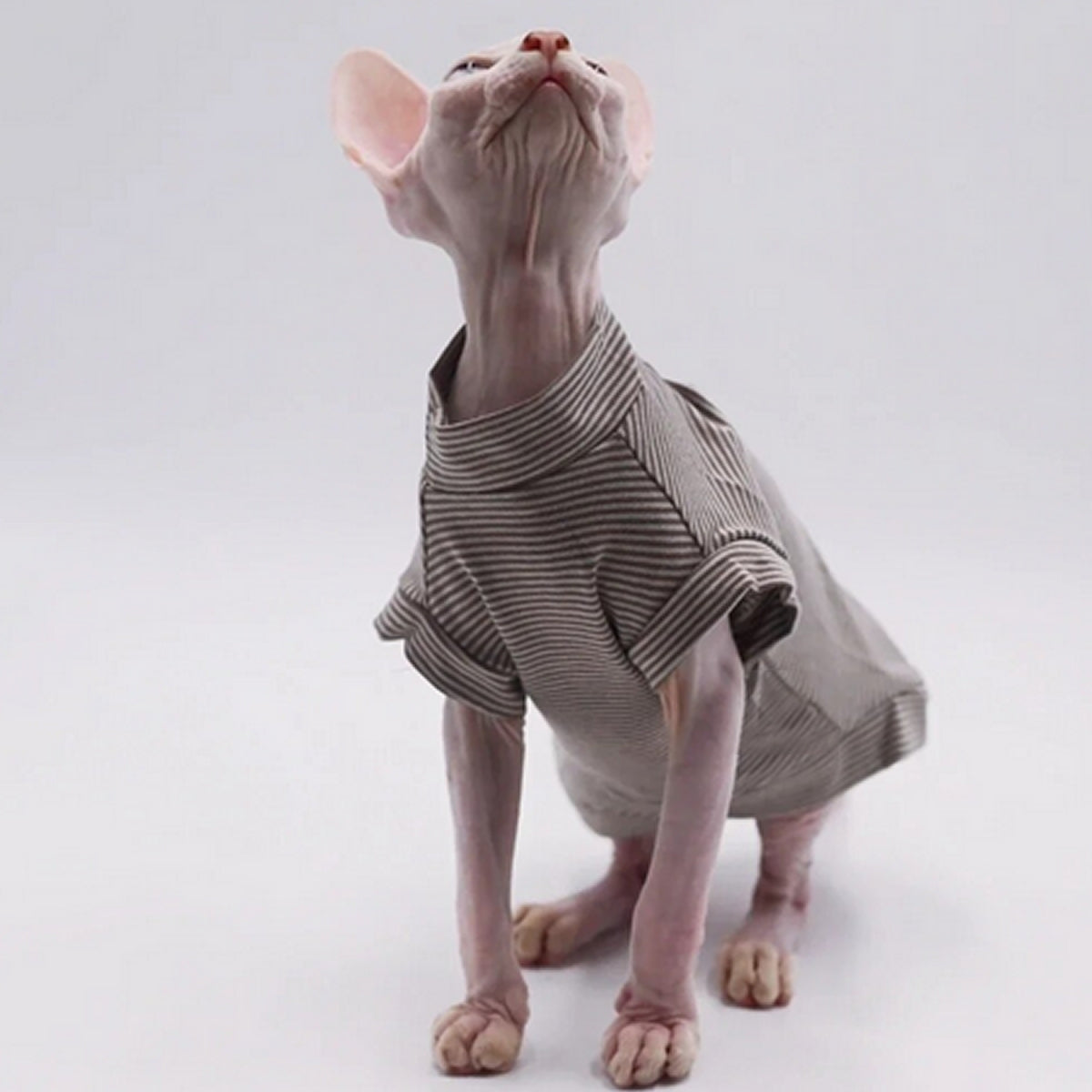 Cocoa Stripes Sphynx Cat T-shirt