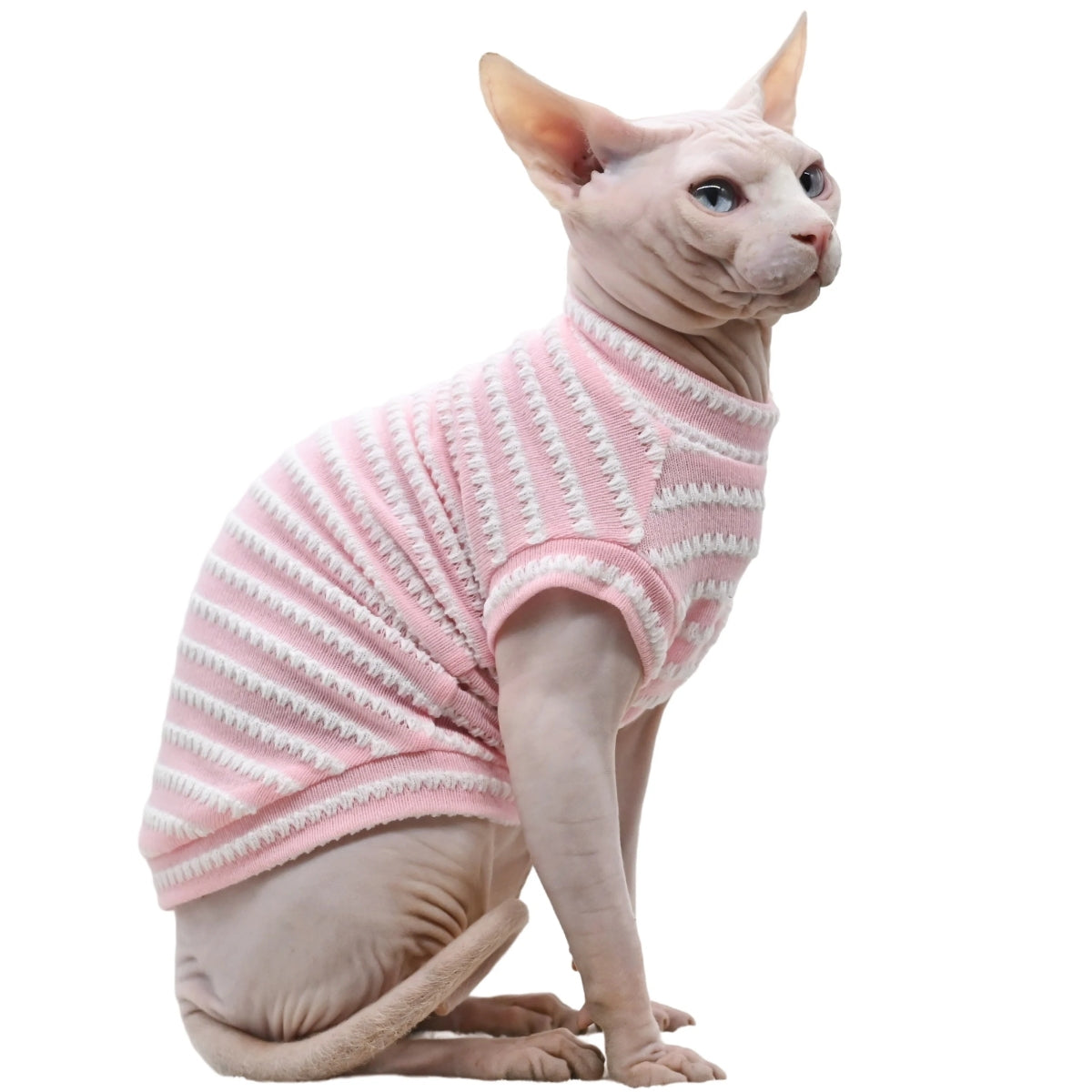 Sphynx Cat Striped T-shirt - Pink