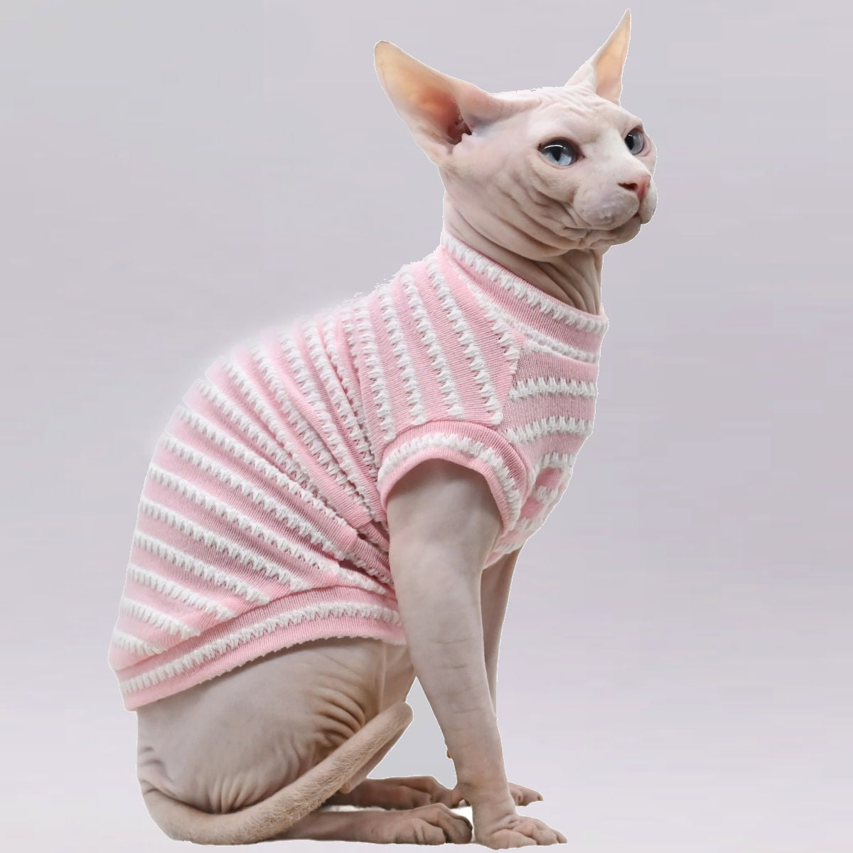 Sphynx Cat Striped T-shirt - Pink