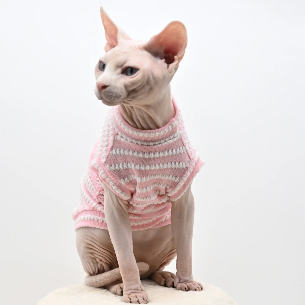 Sphynx Cat Striped T-shirt - Pink