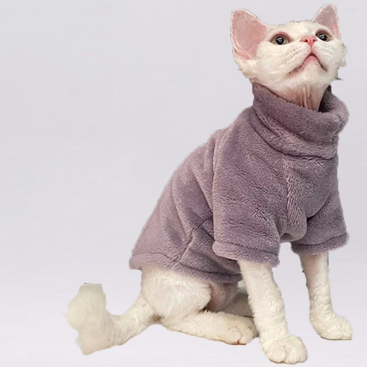 Sphynx Cat Teddy Fleece Wearable Blanket Sweater Jumper - Mauve
