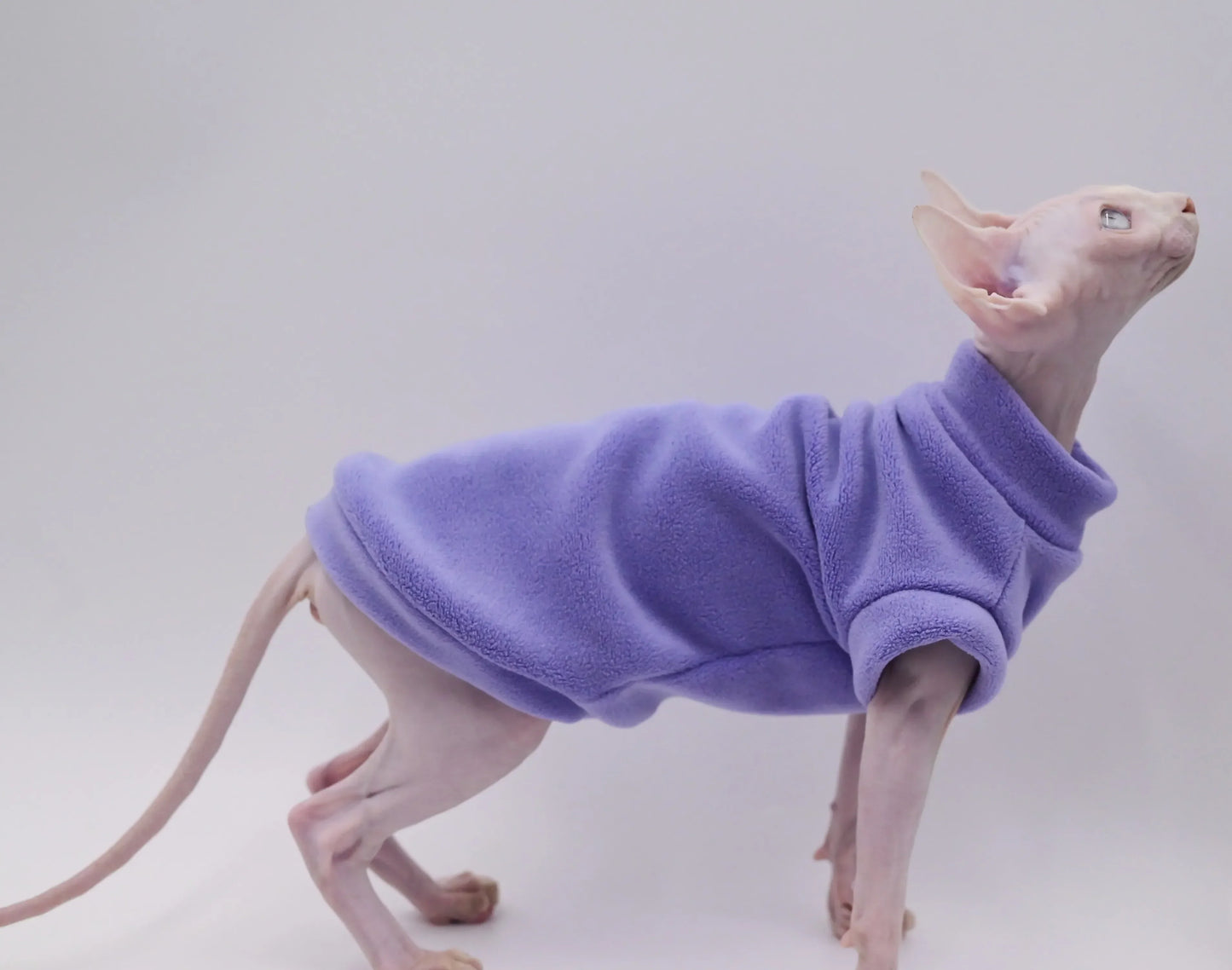Sphynx Cat Thick Polar Fleece - Lilac