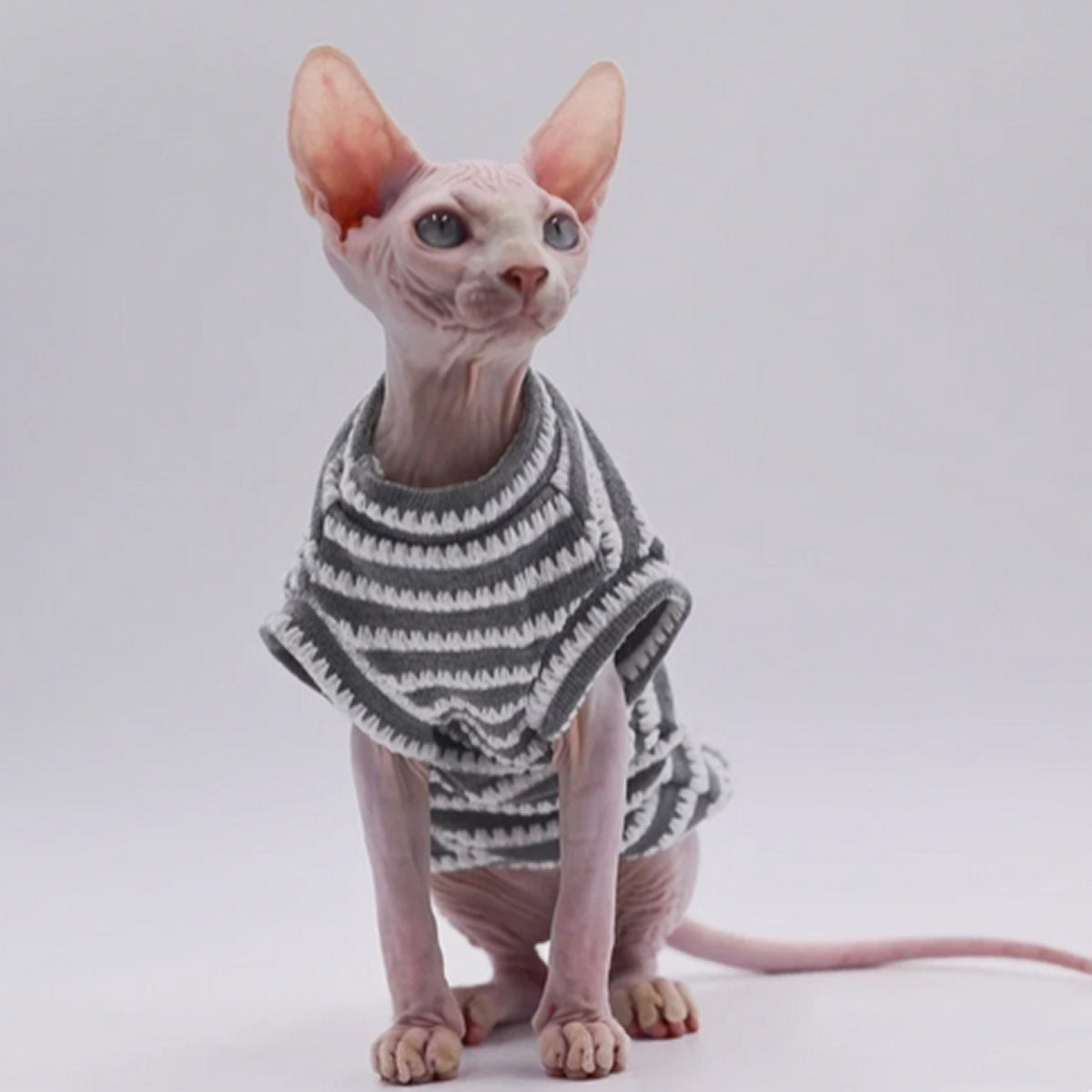 Sphynx Cat Striped T-shirt Grey/White