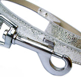 Disco Fever Dog Lead