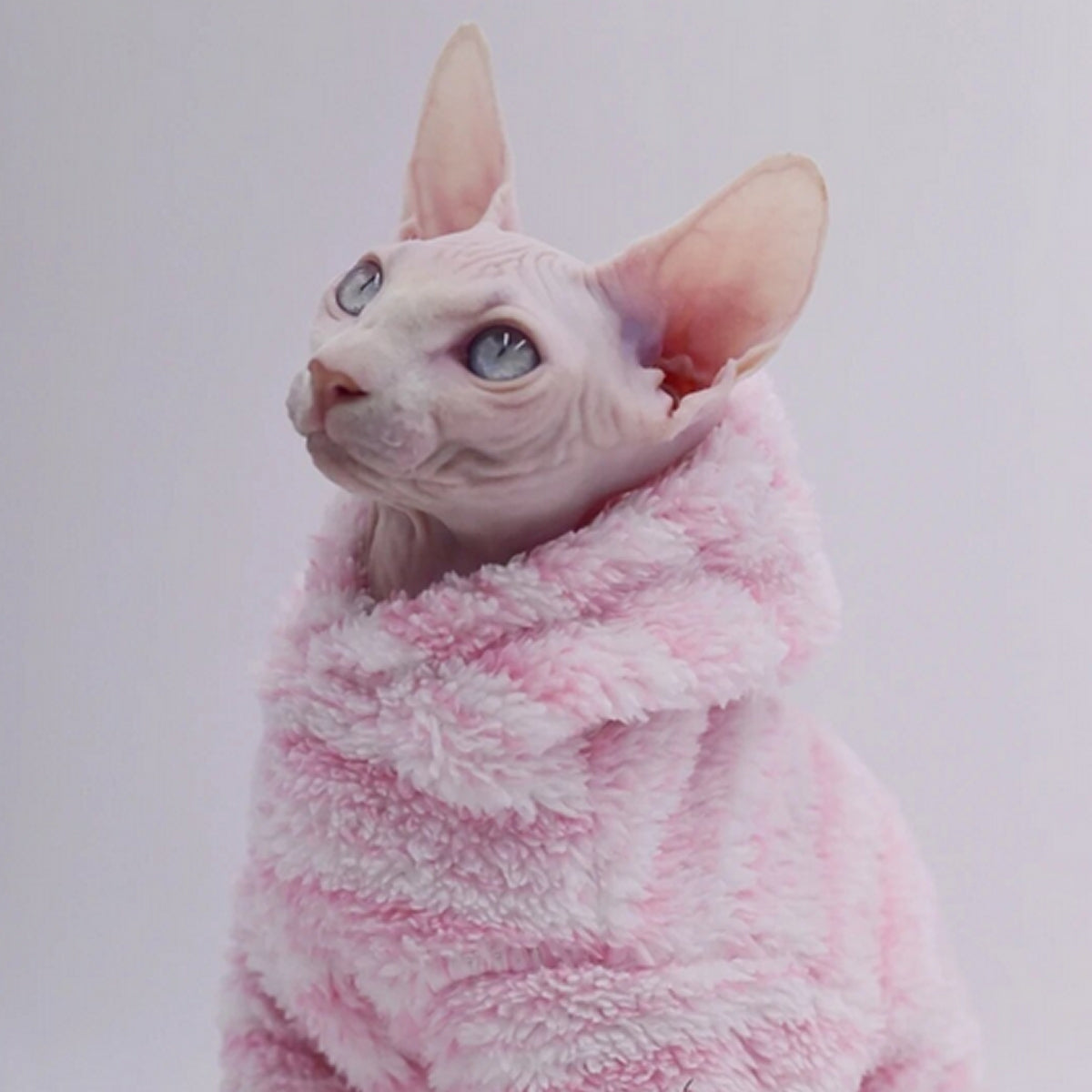 Sphynx Cat Teddy Fleece Hoody - Milkshake Pink