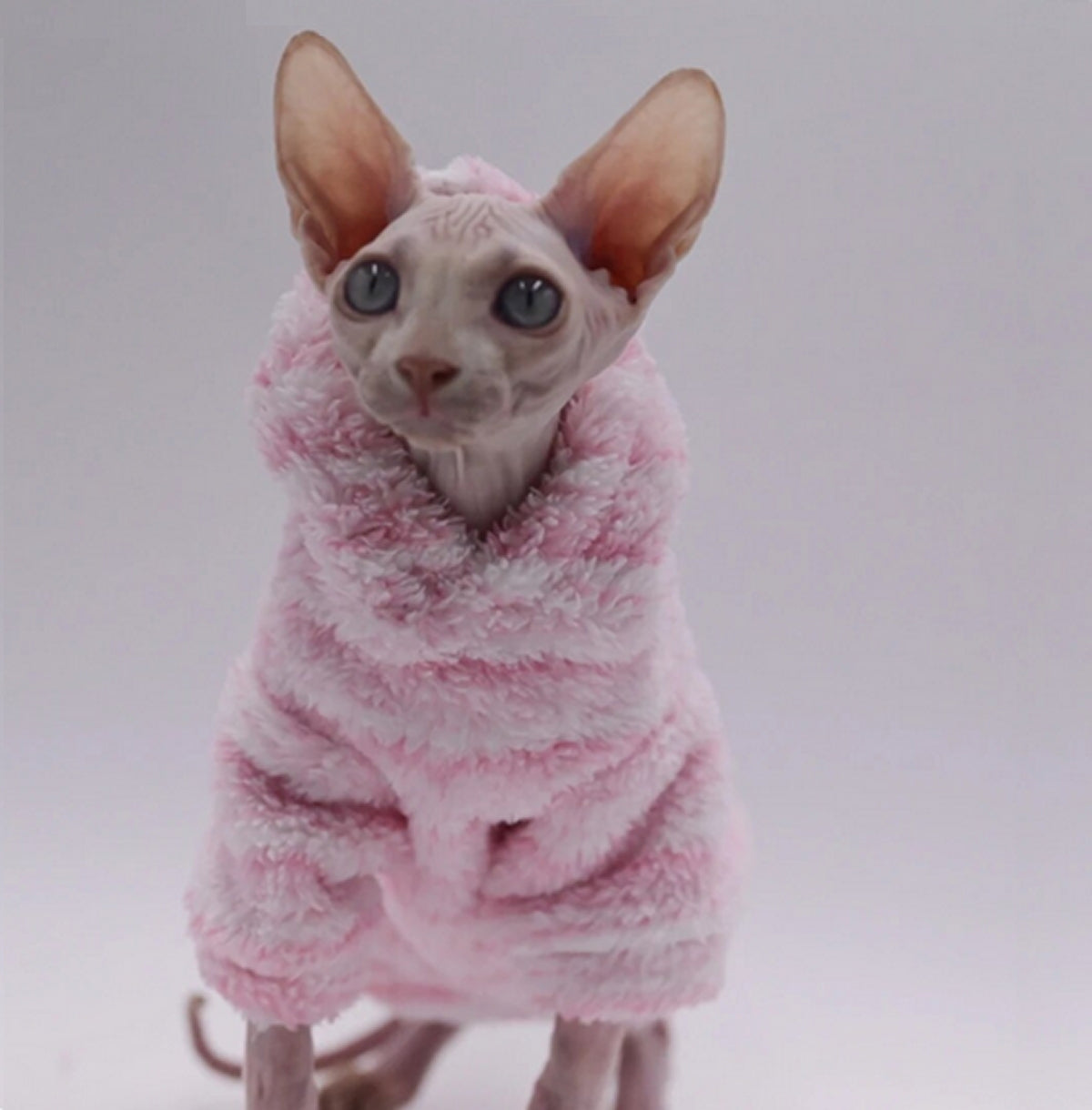 Sphynx Cat Teddy Fleece Hoody - Milkshake Pink