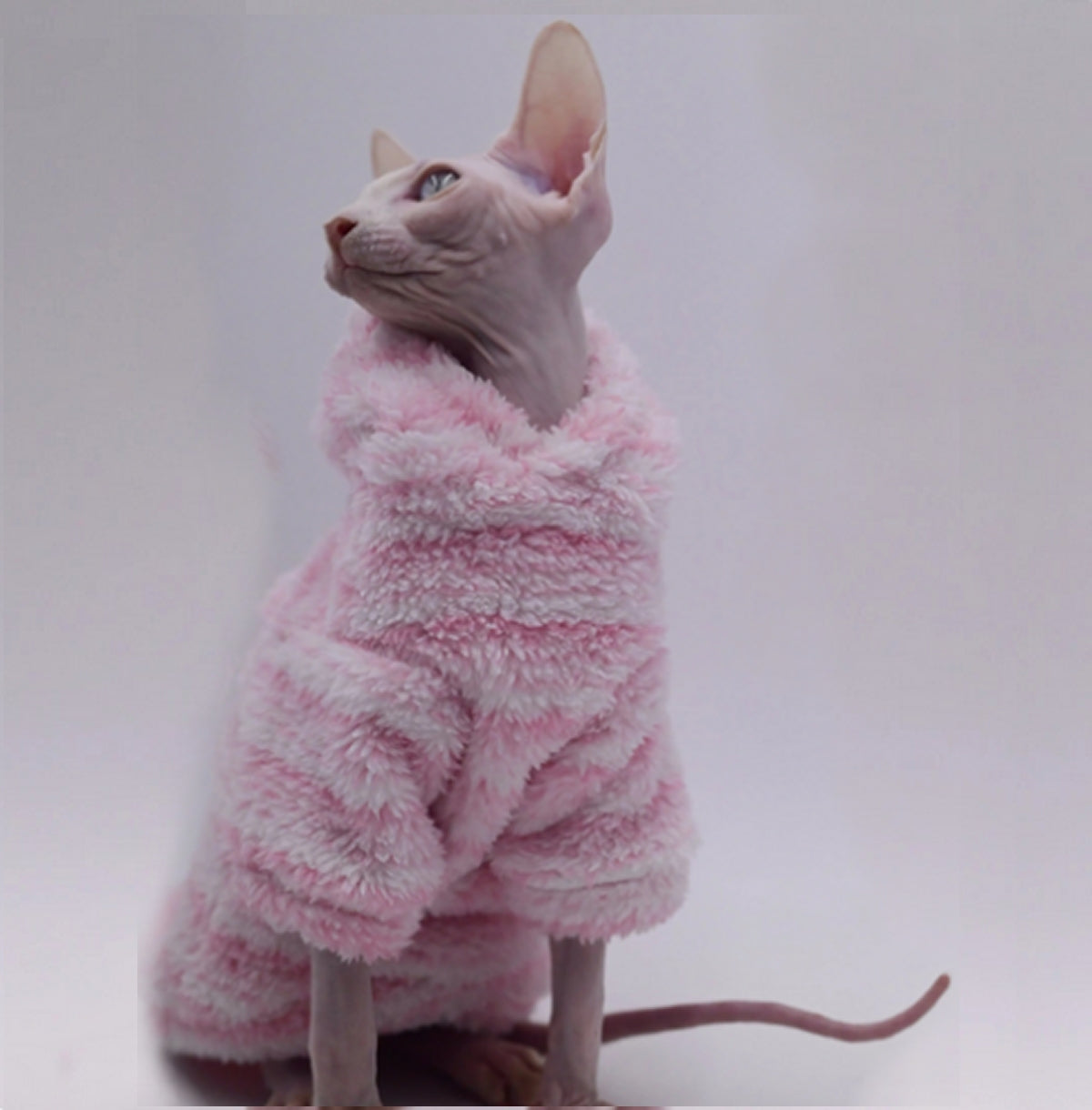 Sphynx Cat Teddy Fleece Hoody - Milkshake Pink