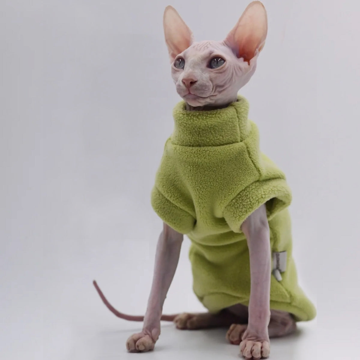 Sphynx Cat Thick Polar Fleece - Lime