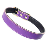 Dog Collars Chelsea Dog Collars - Prince & Princess Designer Petwear 