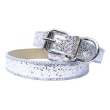 Dog Collars Disco Fever Dog Collar - Prince & Princess Designer Petwear 