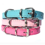 Dog Collars Kensington Plain Dog Collars - Prince & Princess Designer Petwear 