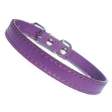 Dog Collars Kensington Plain Dog Collars - Prince & Princess Designer Petwear 