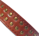 Dog Collars Brown Studded Dog Collars - Prince & Princess Designer Petwear 