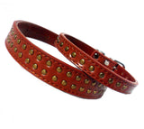 Dog Collars Brown Studded Dog Collars - Prince & Princess Designer Petwear 