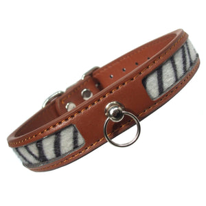 Dog Collars Safari Zebra Print Dog Collar - Prince & Princess Designer Petwear 