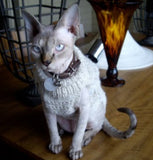 Cat Clothes zCustomised Knitted Cat Jumper - Prince & Princess Designer Petwear 