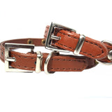 Dog Collars Brown Studded Dog Collars - Prince & Princess Designer Petwear 